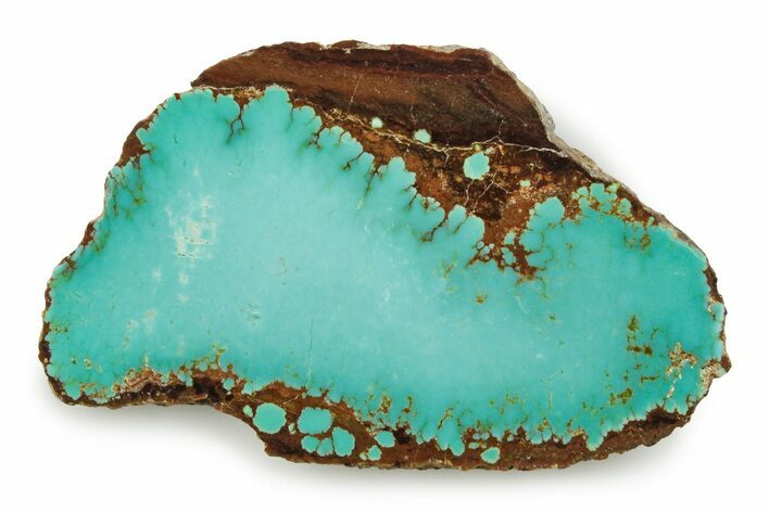 Polished Turquoise Slab - Number Mine, Carlin, NV #245511